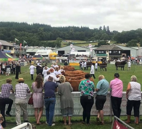 Royal Welsh Agricultural Show cancelled for 2021