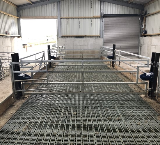 Key considerations to take into account when housing ewes