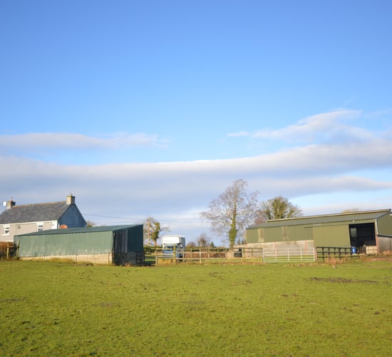 26ac Hacketstown farm for online auction
