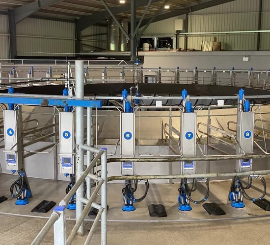 'The aim is to milk 300 cows an hour through the 50-bail rotary parlour'