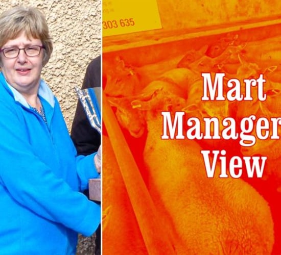 'Farmers were very keen for store cattle this week' - Eilish Curley