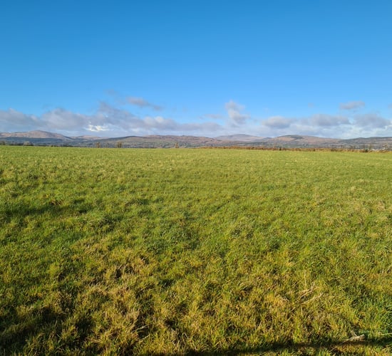 69ac farm on the market 'situated in the heart of dairy country'