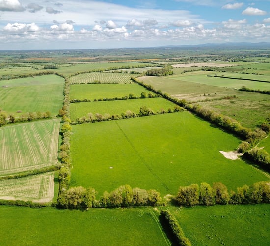 93ac in Kildare guiding at €12,000/ac, with 'Fontstown' series soil