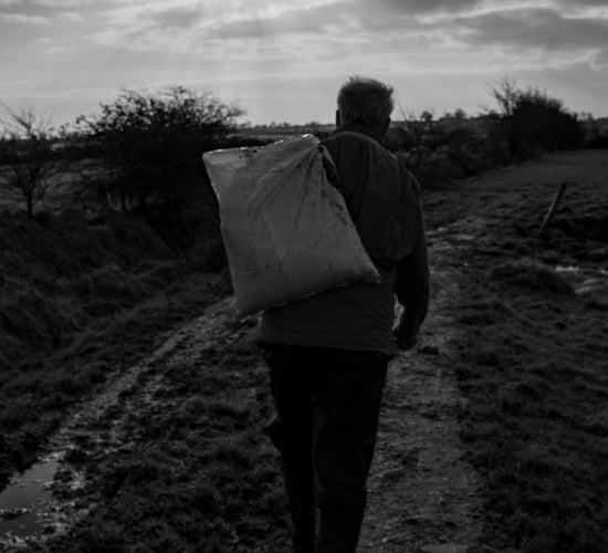 The price of low-cost: Irish food chain systems accused of 'perpetuating rural poverty'