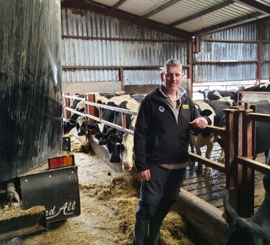Multiple wins for dairy herd given non-antibiotic feed additive