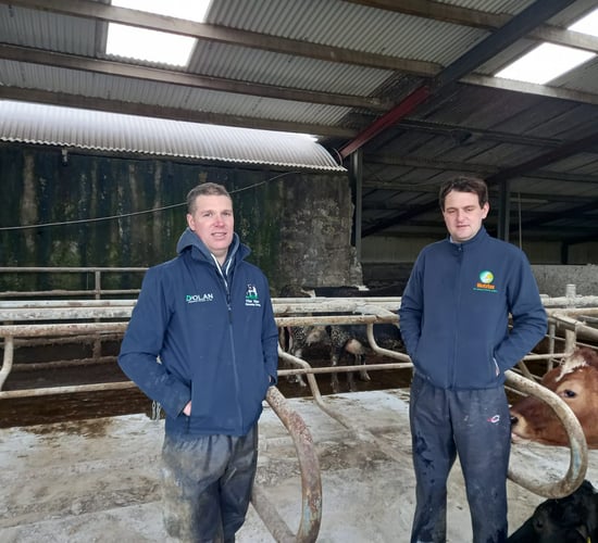 No dip in cow performance at spring turnout in Rumen Proof-fed herd