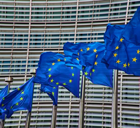 EU enlargement is inevitable - commissioner