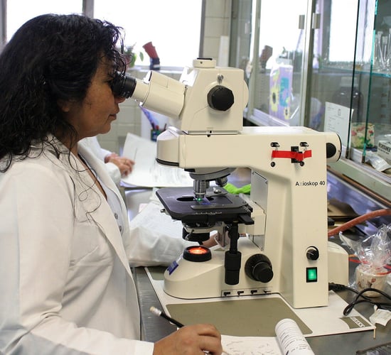 'Women should continue to have self-belief and confidence to develop within the industry'