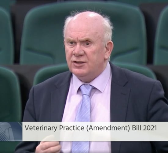 Amendment bill to confine ownership of vet practices to practitioners brought forward