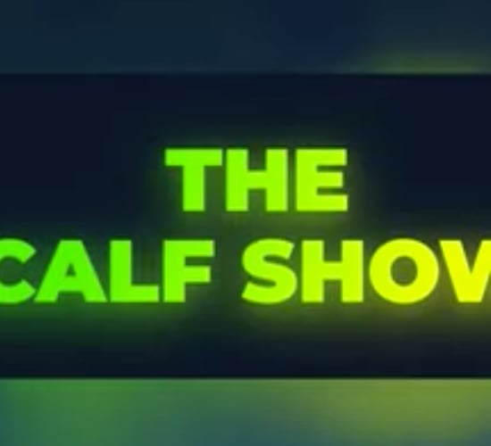 Video: 'The Calf Show' recap - From buying calves to turning them out