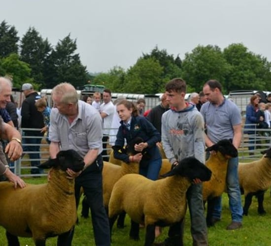 Ballymoney Show becomes the first of NI's summer shows to cancel for 2021