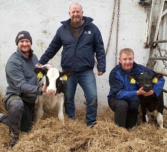 9 Northern Ireland heifers make top 20 of UK database