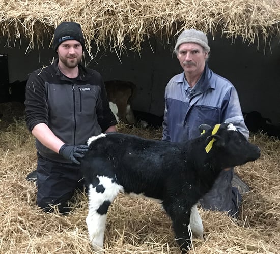 Dairy Focus: Building towards the future in the Royal County
