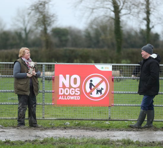 Minister urged to expedite legislation to prevent dog attacks on livestock