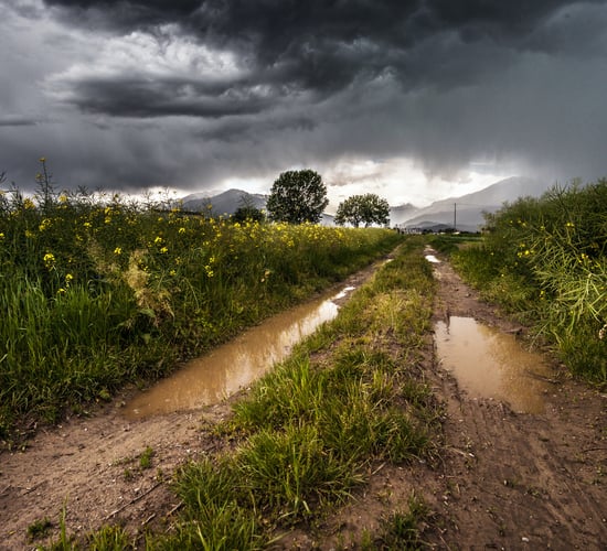 Thunderstorm warnings issued with risk of lightning and hail