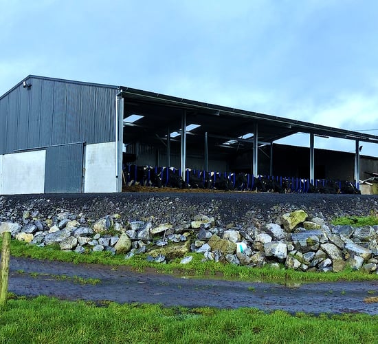 Buildings Focus: Tying in a new cubicle shed with 2 existing sheds to create 84 cubicles