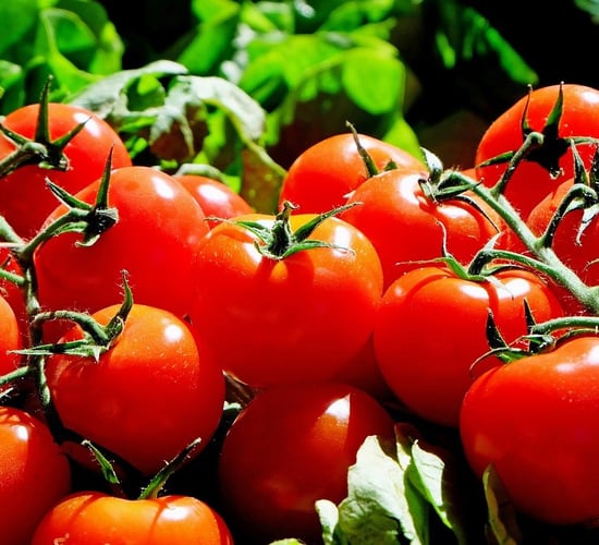 EU Council cuts tariffs on  Moldovan agri products