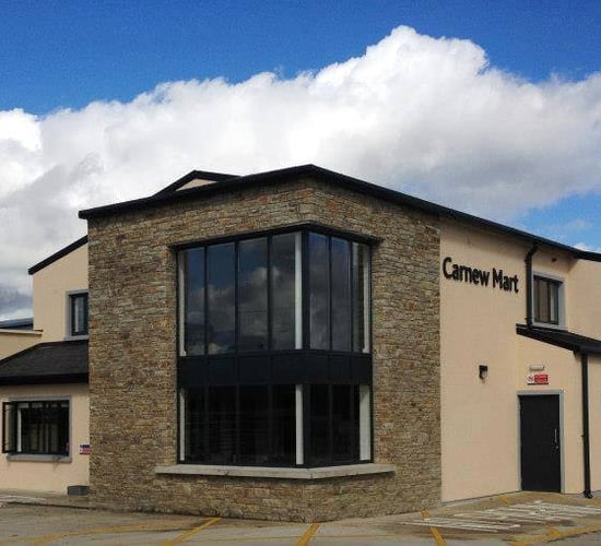 Dispersal sale of ewes with lambs at foot sees prices top €274 at Carnew Mart