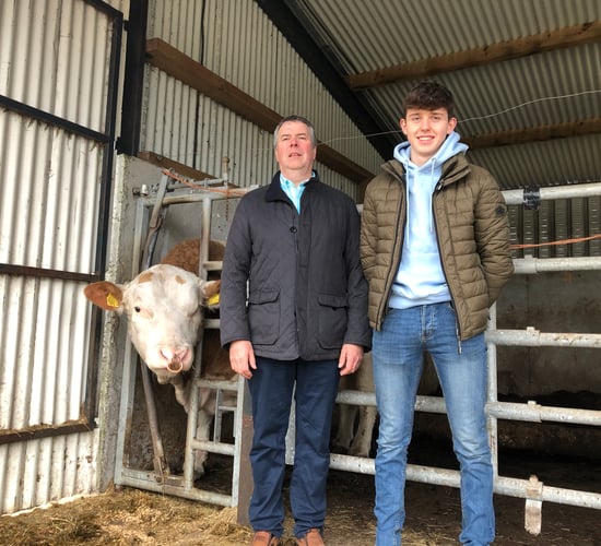 Beef Focus: Sourcing and handling AI bulls at Coney Island Genetics