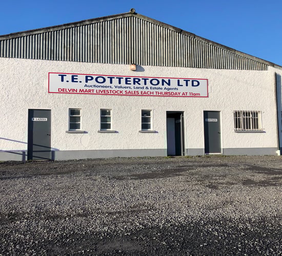Delvin Mart has trading licence restored