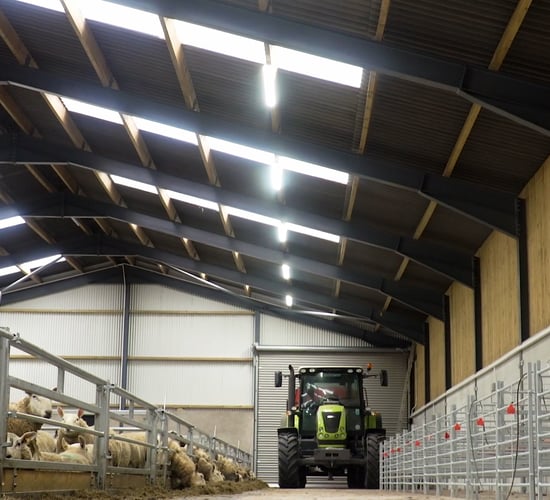 Buildings Focus: AgriLand's Michael Geary speaks to Sam Thompson about his new slatted sheep unit