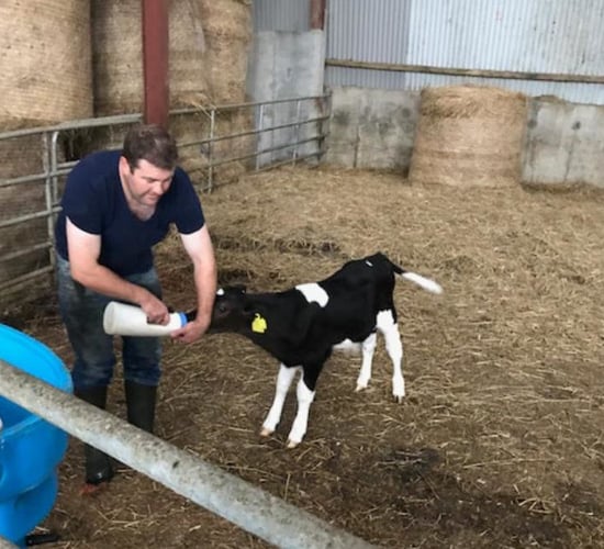 'John was an inspiration': 'Donate a calf' fundraiser for palliative care taking place at Listowel Mart