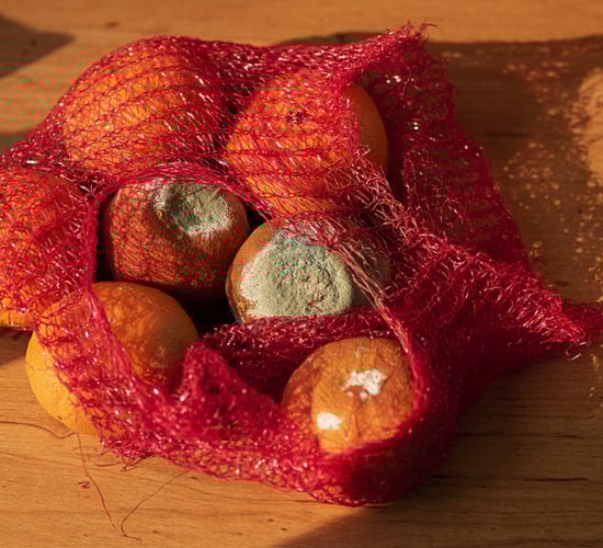 EPA funding opportunity for projects targeting food waste