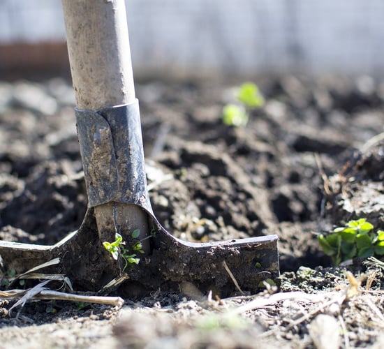 'More clarity' needed on how farmers can achieve Farm to Fork targets