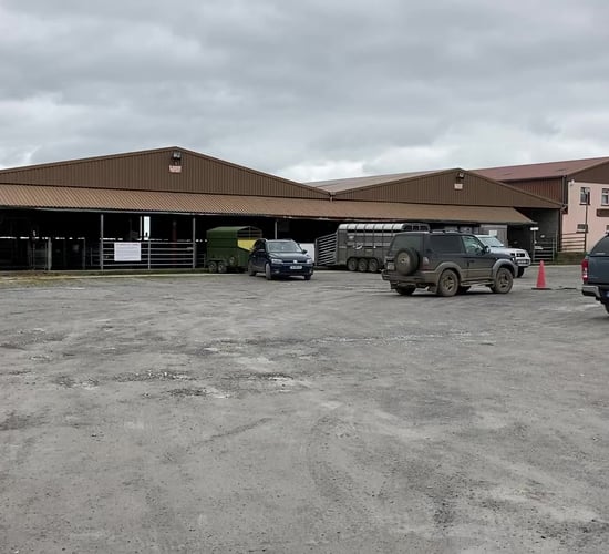 'Monster auction' aims to raise funds for Mountbellew Mart