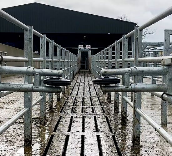 New 50 bail rotary parlour at Salesian Agricultural College