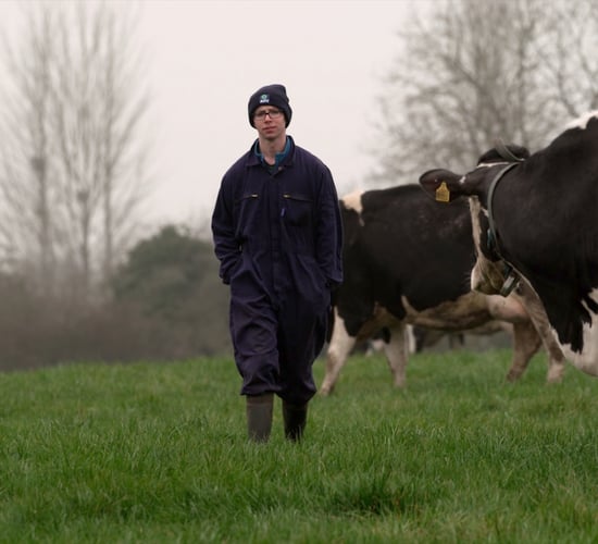 Video: Energy and rehydration post-calving a top priority at Offaly dairy farm