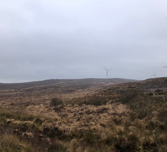 Plan for Offaly wind farm 'profoundly disappointing' - Nolan
