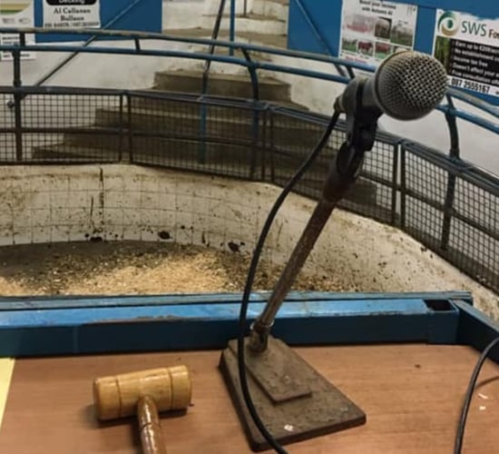 Mart managers meet minister: June return to ringsides 'not ruled out'