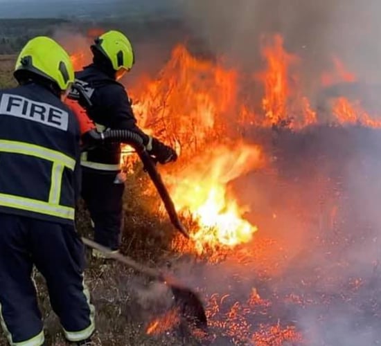 Pics: Firefighters battle gorse hilltop blaze in Laois