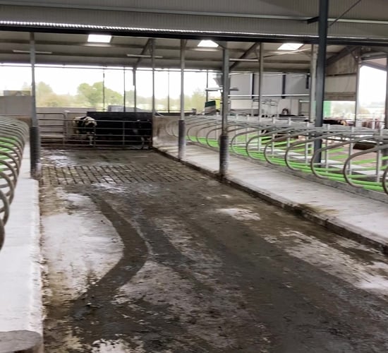 Farmers urged to take care when using cubicle lime