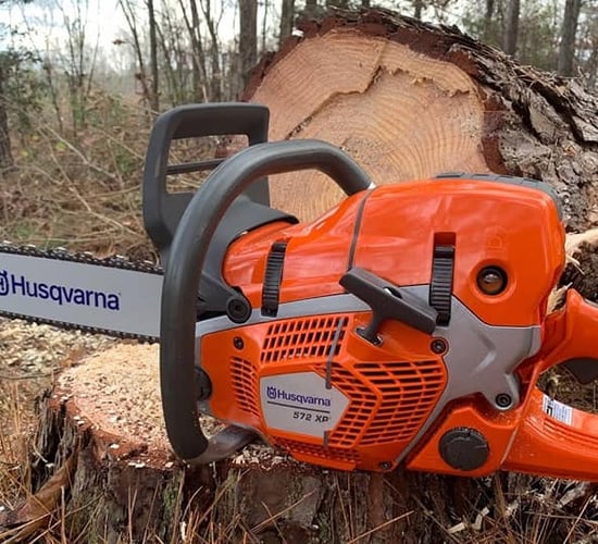 'They've put me out of business': Chainsaws stolen in brazen break-in