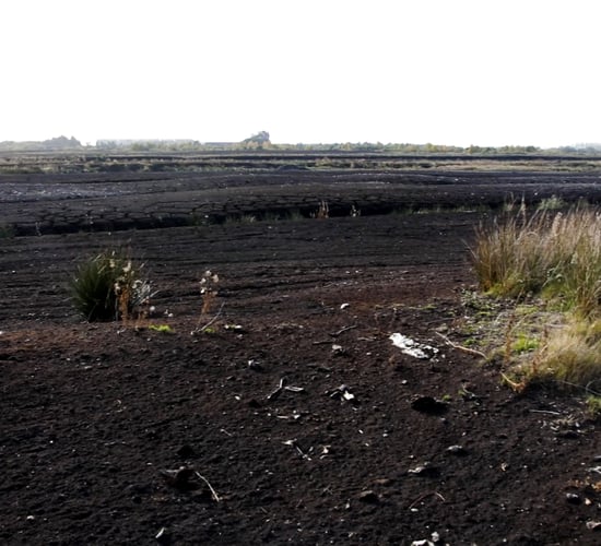 Bord na Móna gives little away on prospect of written agreement with landowners