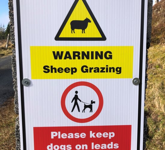 Humphreys to increase fine for dog attacks on livestock