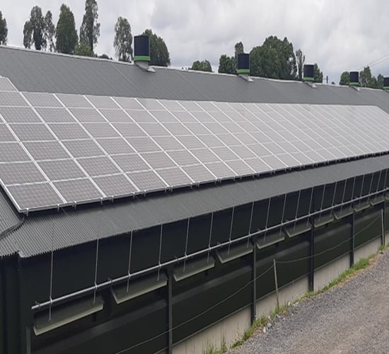 New export tariff offers solar investment opportunity for farmers