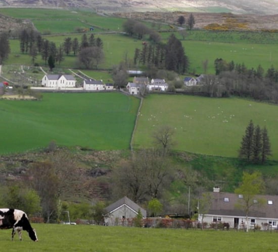 Call for multi-million aid package for farmers in budget
