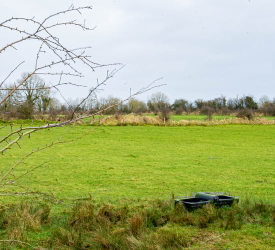 Rural Resilience Project to help NI farmers with climate change