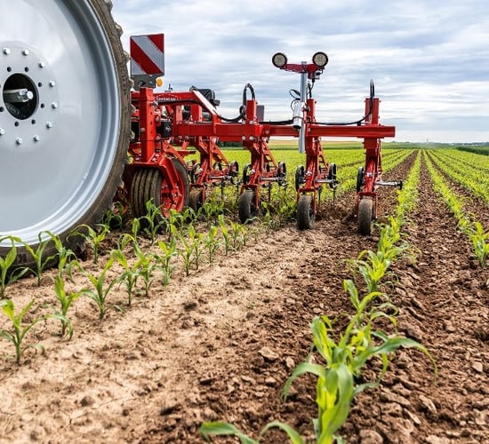 'Space to grow': Steketee sees 30% increase in sales for 2020