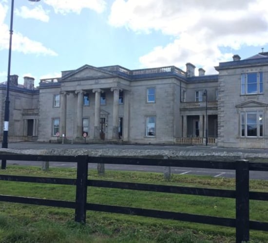 Teagasc appoints Kenny to lead animal and bioscience research