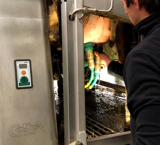 Buildings Focus: Going the robotic-milking route in Co. Roscommon