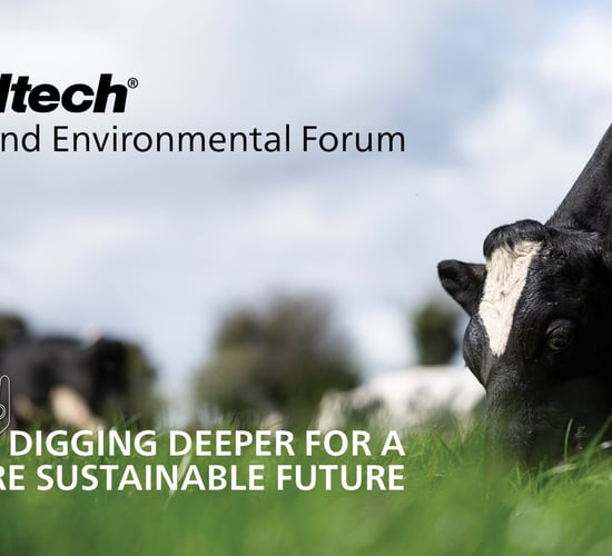Alltech Ireland to host virtual Environmental Forum
