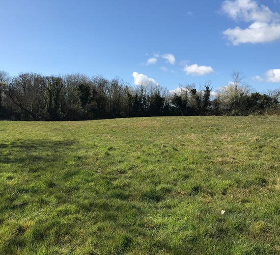 Five-division roadside holding for sale by online auction