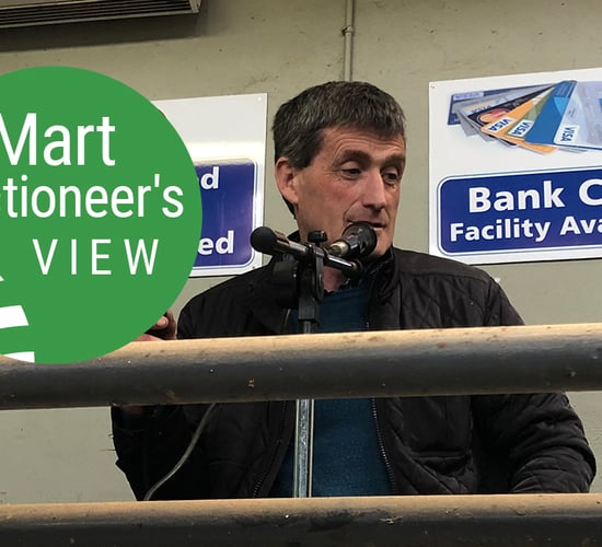'The cull cow met a fantastic trade this week' - Auctioneer Denis O'Rourke