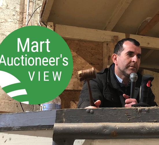 'Grass farmers were out in force this week' - Eamon Gaffney