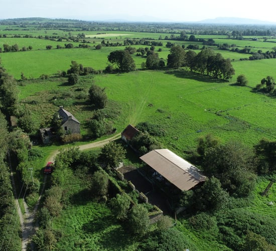 Bruff farm offers 'prime grazing land'