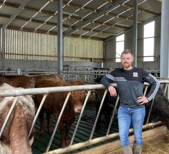 Buildings Focus: Leaving no stone unturned in this new suckler unit in Co. Roscommon